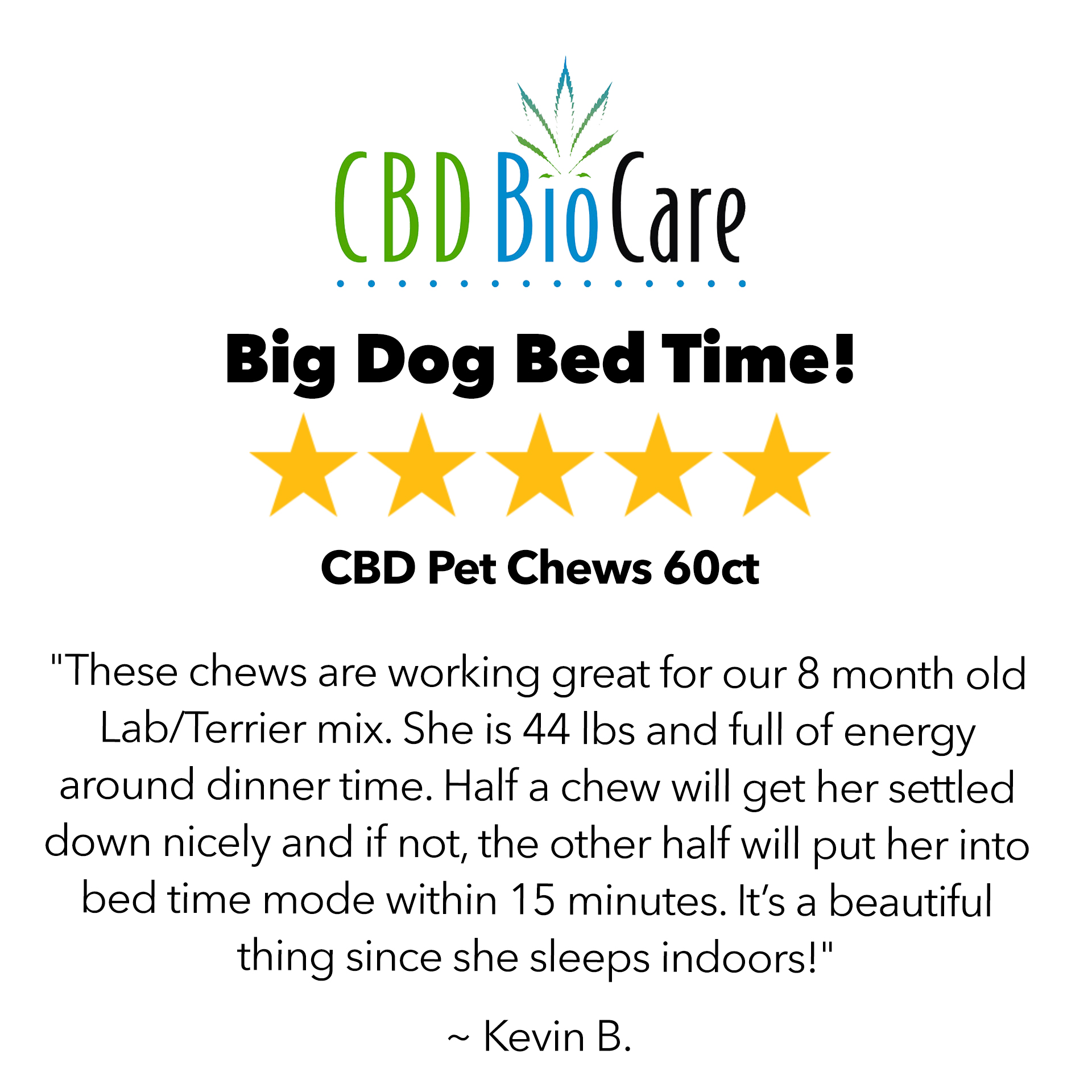 5-star review: Big Dog Bed Time — CBD Pet Chews 60ct
