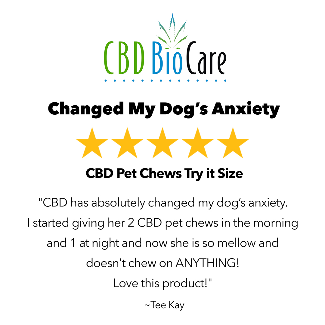 5-star review: Changed My Dog's Anxiety — CBD Pet Chews Try It Size